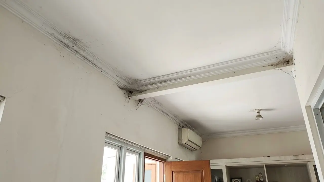 Cara Membersihkan Lis Plafon, Ampuh Hilangkan Debu dan Sarang Laba-Laba