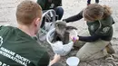 Humane Society International Crisis Response Specialist Kelly Donithan (kanan) memeriksa koala yang terluka di Pulau Kanguru, Australia, 15 Januari 2020. Kebakaran hutan besar-besaran di Australia menyebabkan sejumlah besar koala mati dan banyak lainnya yang terluka. (PETER PARKS/AFP)
