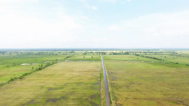 Sawah