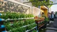 4 Cara Menanam Kebun Herbal Hidroponik di Rumah dengan Mudah, Cocok untuk Pemula