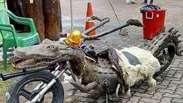 7 Potret Modifikasi Bentuk Sepeda Motor, Dari Babi Hingga Naga