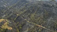 Foto udara menunjukkan kerusakan usai kebakaran hutan di dekat kota pesisir Mediterania Manavgat, Antalya, Turki, Jumat (30/7/2021). Presiden Recep Tayyip Erdogan, mengatakan petugas masih menangani kebakaran hutan di 14 lokasi di enam provinsi di wilayah Mediterania Turki. (AP Photo)