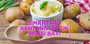 MANFAAT KENTANG UNTUK MPASI