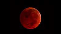 Blood moon. (Sumber digitaltrends.com)