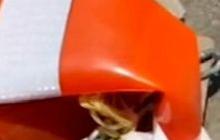 Traffic Cone Meleyot, Waspada Suhu Panas Indonesia Capai 38,6 Derajat