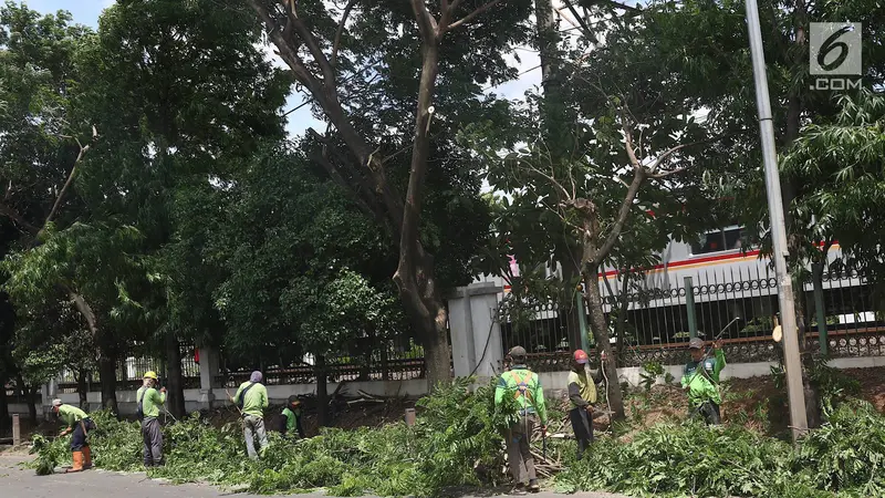 Antisipasi Musim Hujan dan Angin Kencang, Petugas Pangkas Pohon di Lenteng Agung