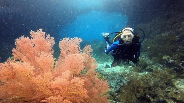 Nadine Chandrawinata