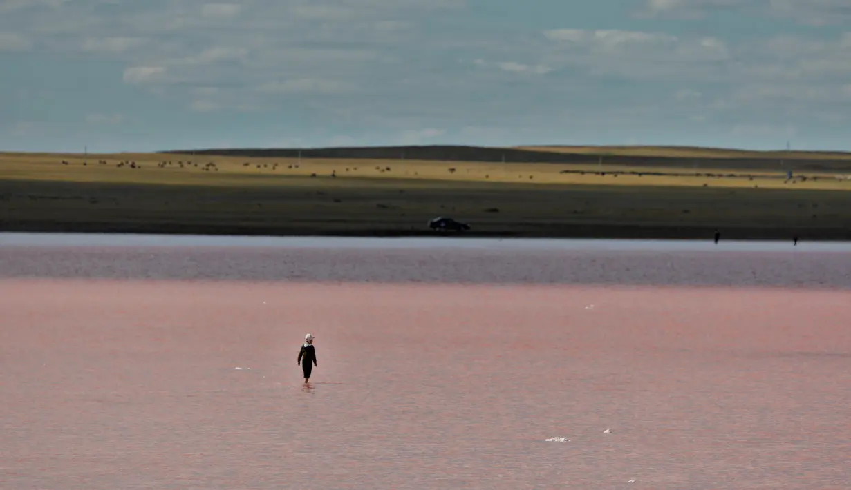Foto yang diabadikan pada 20 Juni 2020 ini menunjukkan pemandangan Danau Kobeituz di Kawasan Akmola, Kazakhstan utara. Danau Kobeituz terkenal dengan warna merah mudanya dan populer di kalangan wisatawan lokal. (Xinhua/Kalizhan Ospanov)