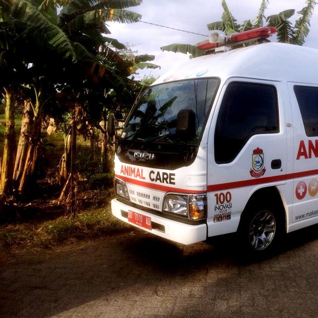 Dokter Home Care Makassar