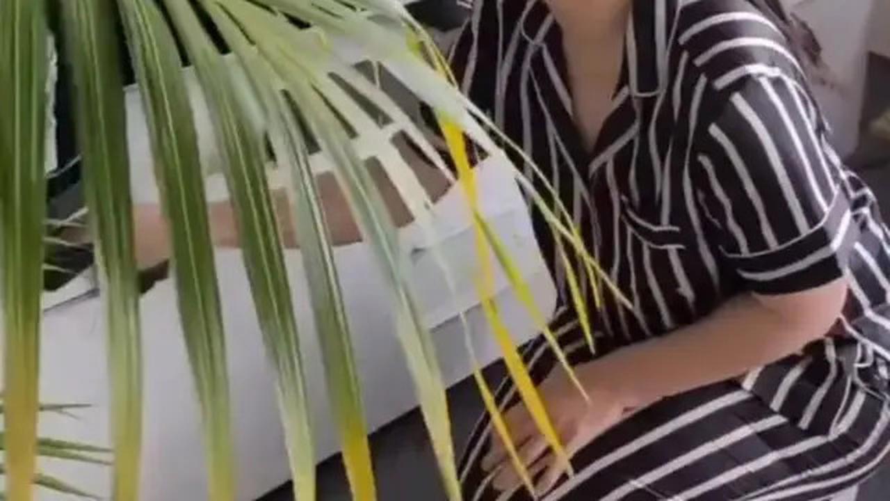 Dapur Modern hingga Ruang Makan Elegan, Ini Gaya Hunian Gracia Indri di Belanda