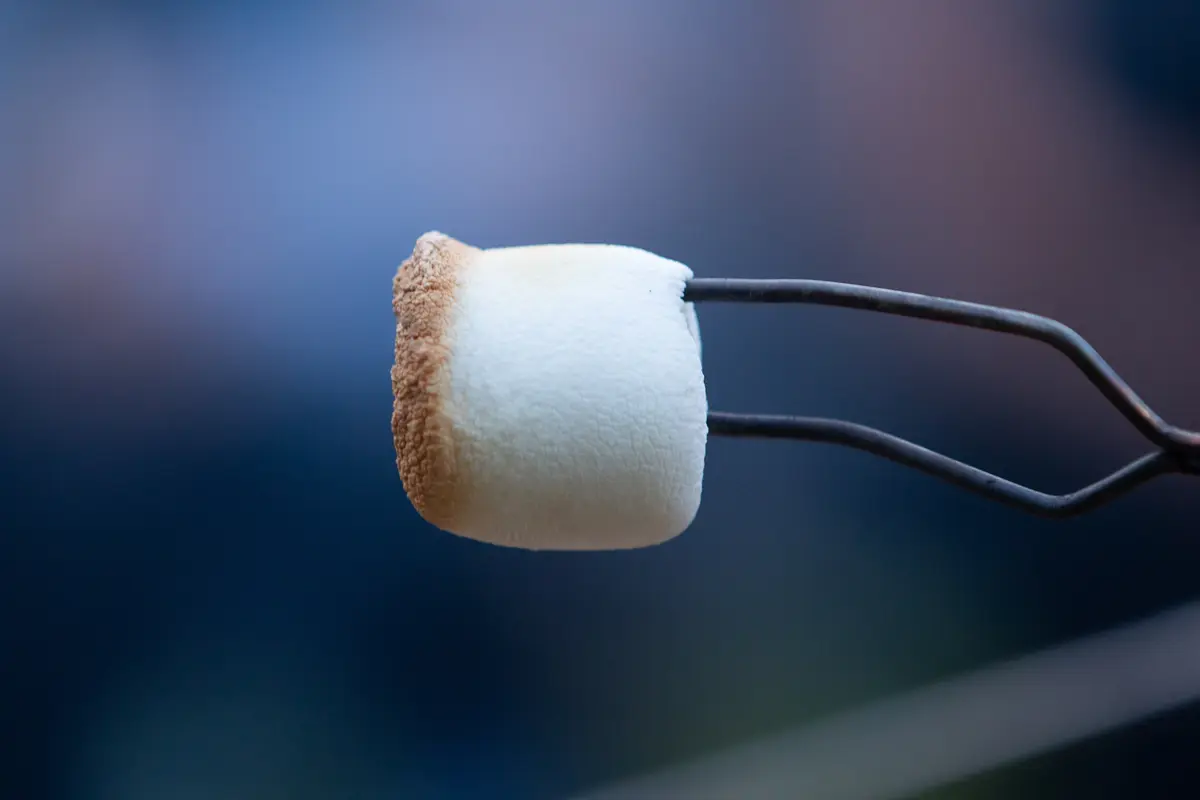 Marshmallow