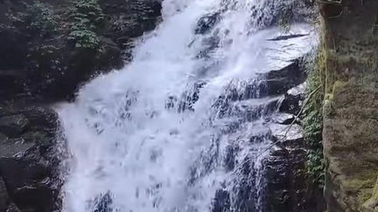 Menikmati Keindahan Curug Muara Jaya yang Estetik di Majalengka, Lokasinya Syahdu di Tengah Hutan