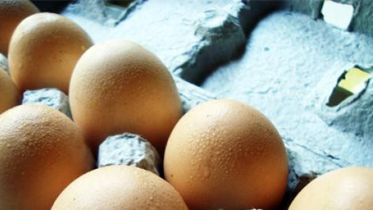 Alasan ilmiah kenapa tidak dianjurkan makan telur berlebihan