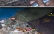 Viral Wanita di Pekanbaru Timbun Sampah di Kamar Kosnya, Diduga Idap Hoarding Disorder
