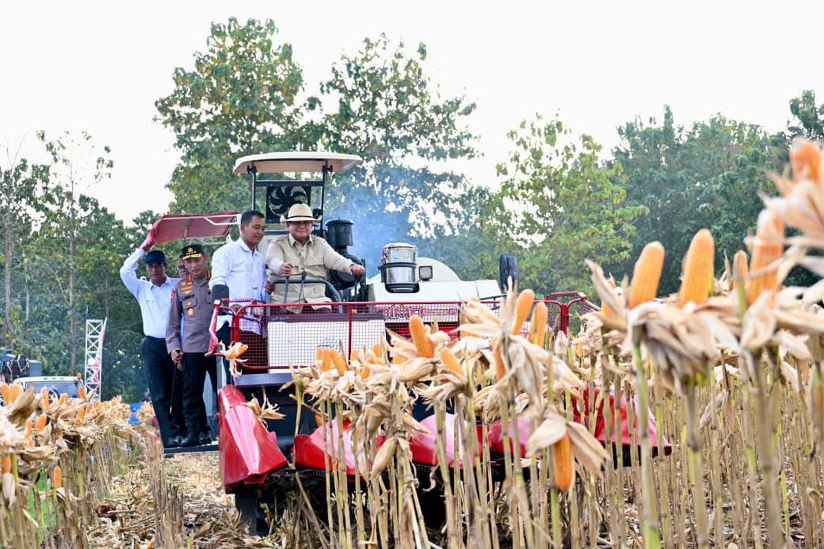 Presiden Prabowo Turun Langsung Panen Jagung di Tuban, Sempat Nyetir Traktor Jenis Combine Corn Harvester