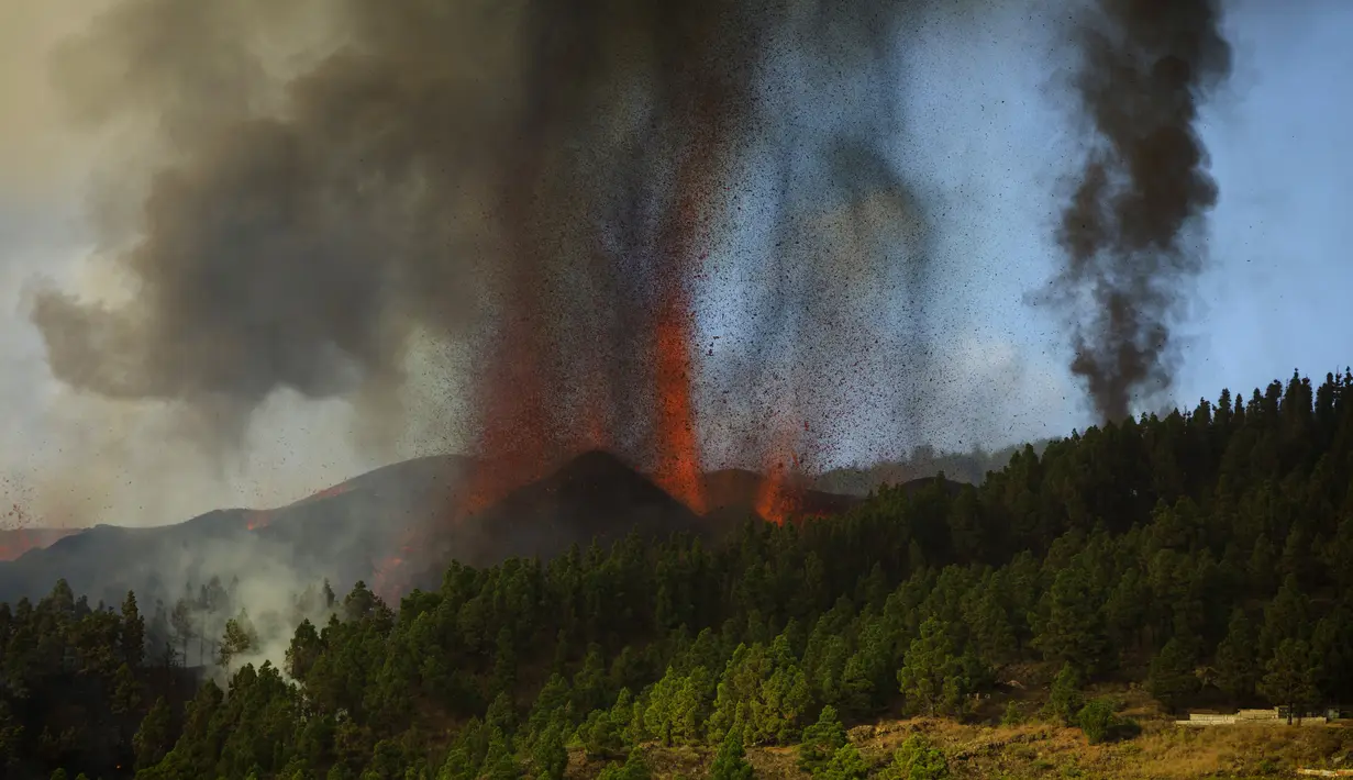 Lava mengalir dari letusan gunung berapi Cumbre Vieja di pulau La Palma di Kepulauan Canaria,Spanyol, Minggu (19/9/2021). Cumbre Vieja yang terakhir kali erupsi 50 tahun lalu berada di punggung bukit di selatan Pulau La Palma yang dihuni sekitar 80 ribu orang. (AP Photo/Jonathan Rodriguez)