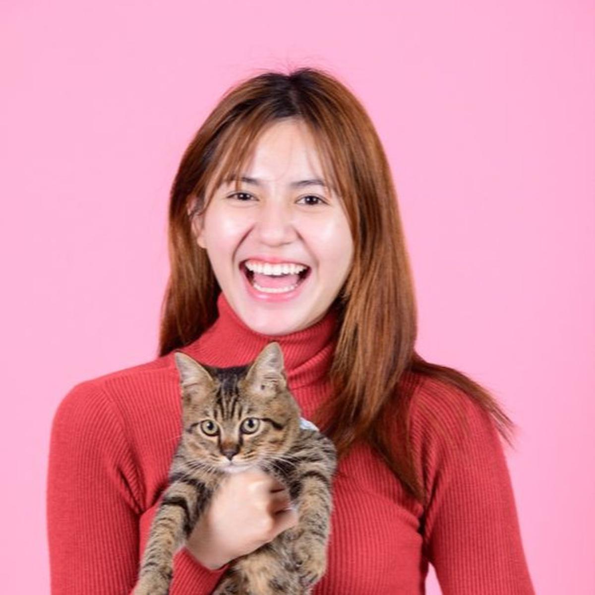 5 Hal yang Harus Dipersiapkan Sebelum Memelihara Kucing, Bikin Anabul Nyaman di Rumah