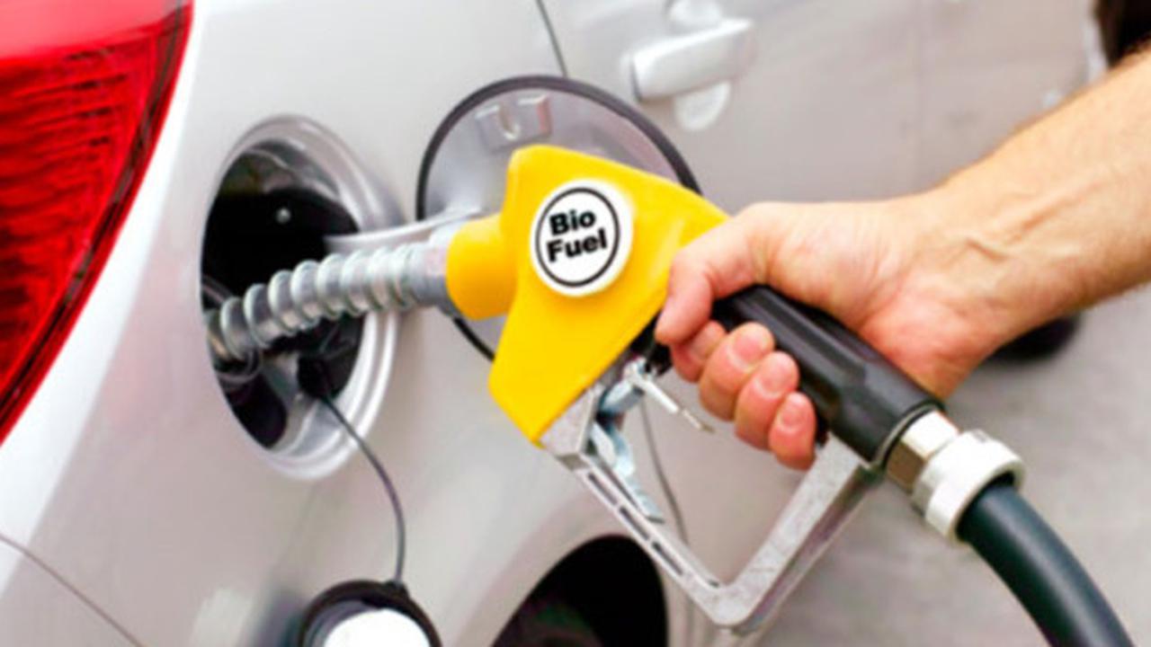 Jepang Menetapkan Penggunaan Biofuel untuk Semua Kendaraan pada Tahun 2030, Apa Kabar Mobil Listrik?