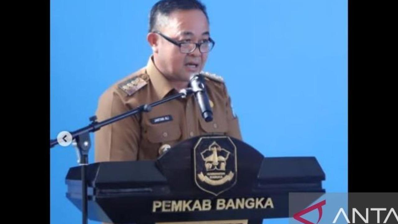 Trivia Pajak: Bagaimana Aplikasi Sedulang Mampu Meroketkan Pendapatan Daerah Bangka Hingga Rp103 Miliar?