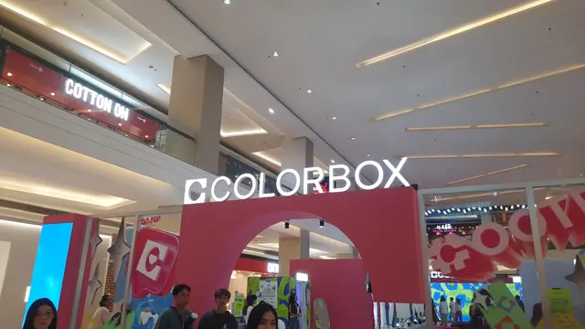 COLORBOX Never Just One Thing Product Showcase