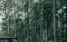 Rekomendasi Tempat Wisata di Bandung Cocok untuk Libur Akhir Tahun, Lengkap Harga Tiket Masuk