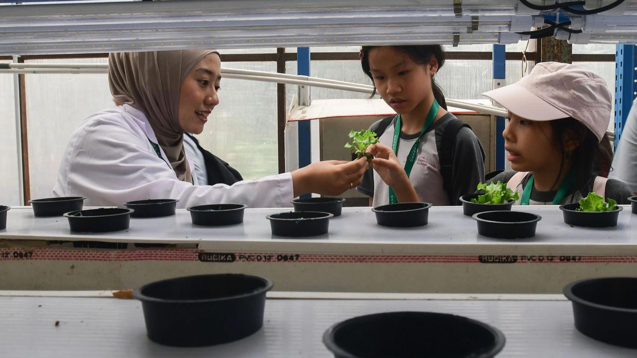 FOTO: Belajar Hidroponik di Kebun Vertikal Tertinggi di Indonesia
