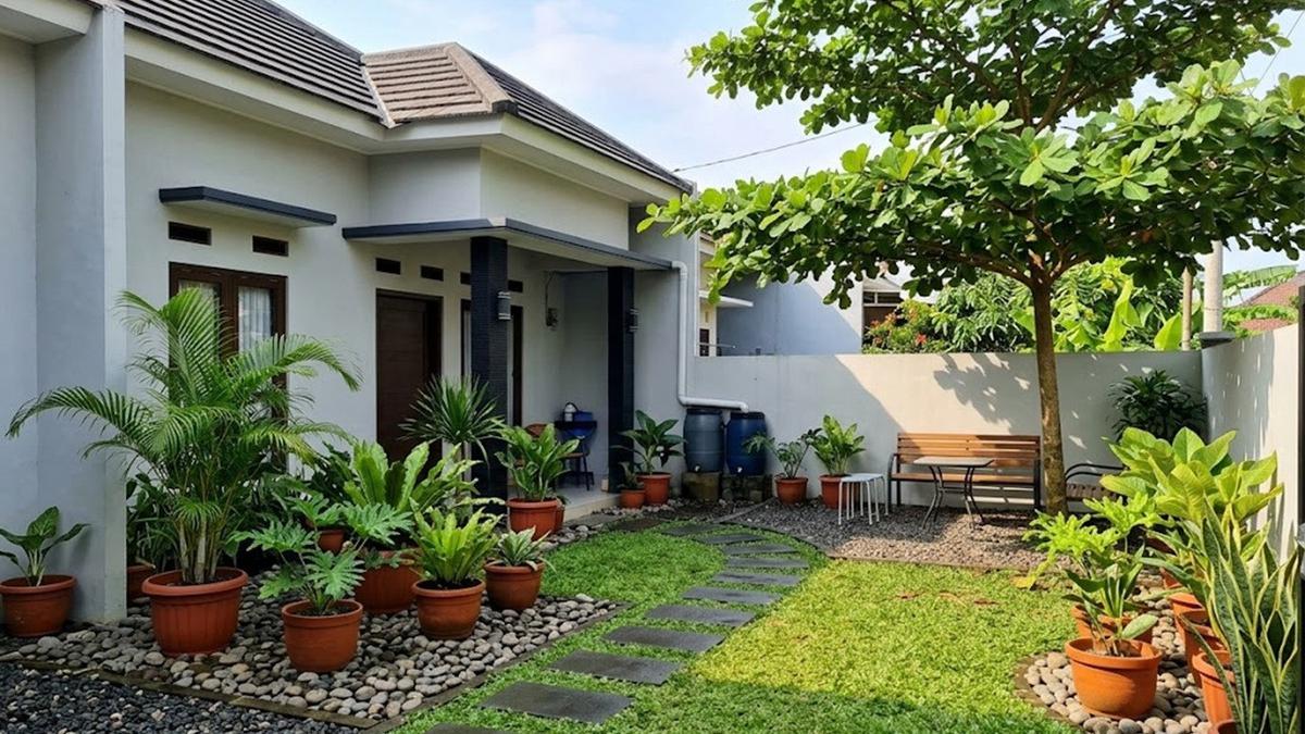 Cara Membuat Halaman Lebih Sejuk dengan Penempatan Tanaman