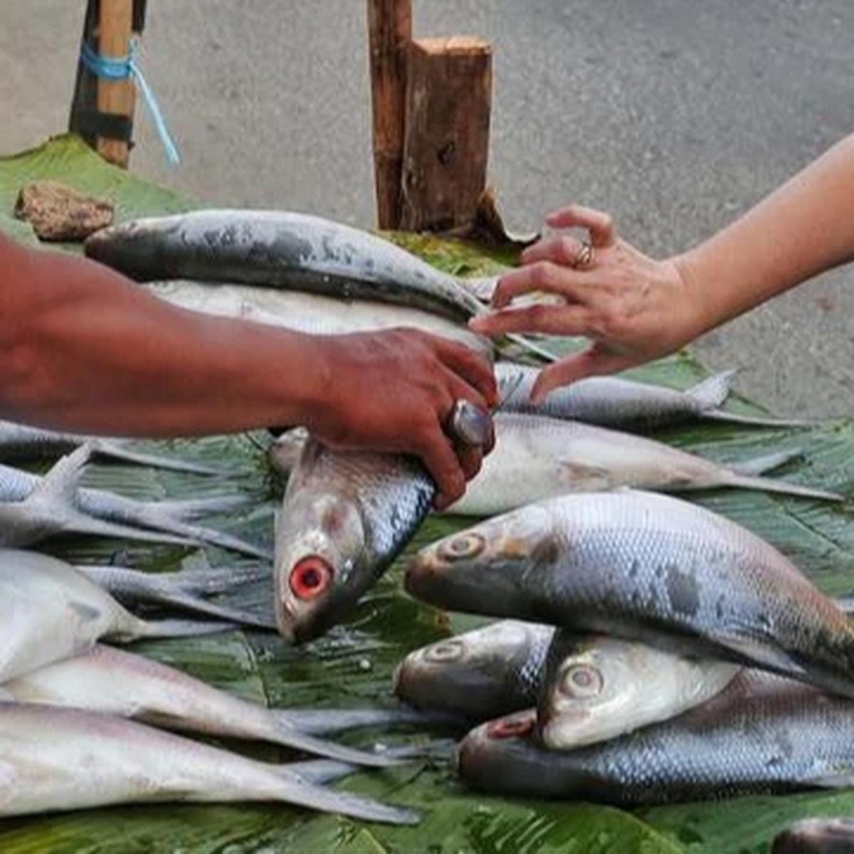 Tahun Baru Imlek 2026, Santap 3 Makanan Pembawa Hoki Sambut Tahun Kuda Api
