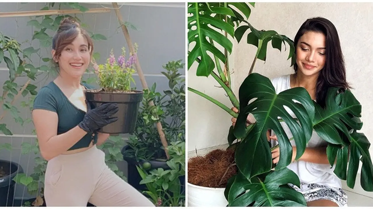7 Artis Tanah Air Ini Nikmati Hobi Berkebun, Ada yang Ajak Anak
