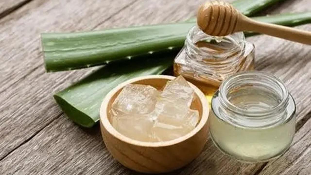 Cara Mudah Membuat Es Lidah Buaya yang Segar dan Menyehatkan