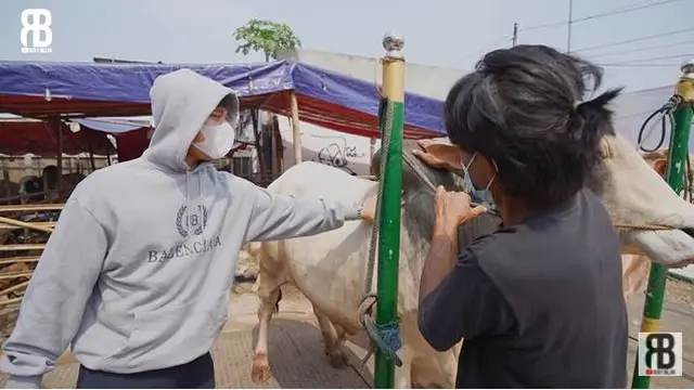 6 Momen Seru Lesty Kejora dan Rizky Billar Beli Sapi Kurban