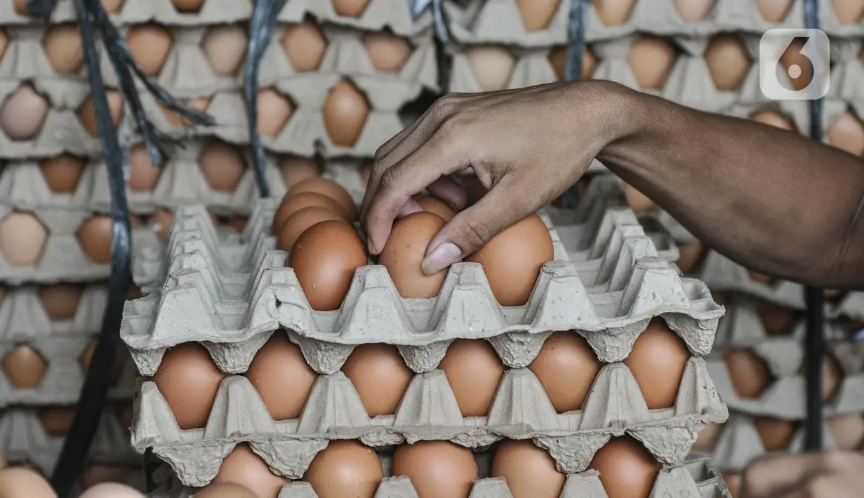 Pekerja memilih telur ayam di salah satu agen di Jakarta, Selasa (14/3/2023). Kenaikan sejumlah harga komoditas pangan salah satunya telur ayam merupakan kondisi yang terjadi setiap tahunnya atau menjelang Hari Besar Keagamaan dan Nasional (HBKN). (merdeka.com/Iqbal S Nugroho)