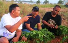 Letjen Kunto Arief Anak Jenderal Sepuh, Berkaos Oblong ke Ladang Bareng Petani lalu Ngopi Bareng