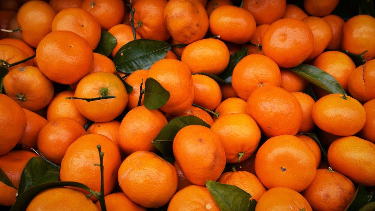 Jeruk Mandarin
