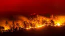 Pemandangan kobaran api dari kebakaran hutan di Desa Akcayaka, Milas, Provinsi Mugla, Turki, Jumat (6/8/2021). Warga ikut berjuang melawan kebakaran hutan paling mematikan dalam beberapa dekade di Turki. (Yasin AKGUL/AFP)