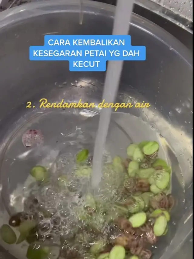 Tanpa Dimasukkan Kulkas, Begini Cara Olah Petai yang Layu Bisa Segar Lagi