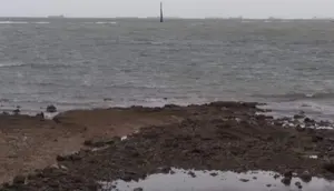 Laut Batam Dikapling Selama Bertahun-tahun