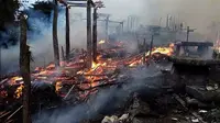 Si Jago Merah Musnahkan Kampung Adat Tarung di Sumba Barat