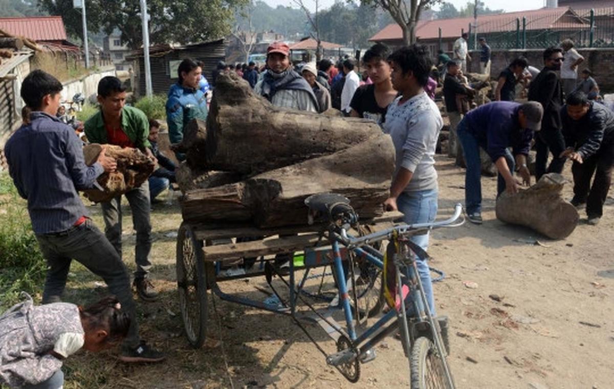 Krisis BBM, pemerintah Nepal jual kayu bakar