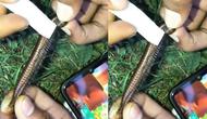 Viral video pria hitung jumlah kaki dari hewan kaki seribu (Sumber: Twitter/Heraloebss)