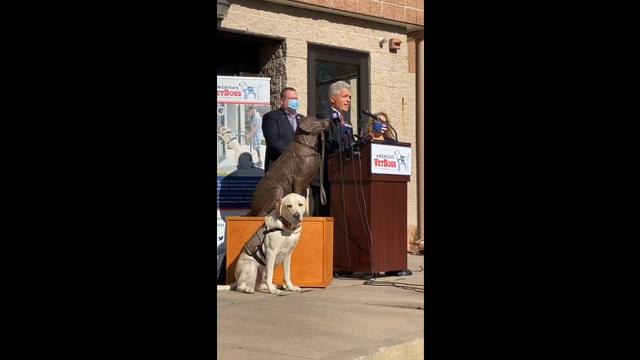 Anjing yang Pernah Bertugas untuk Presiden ke-41 AS Dibuatkan Patung