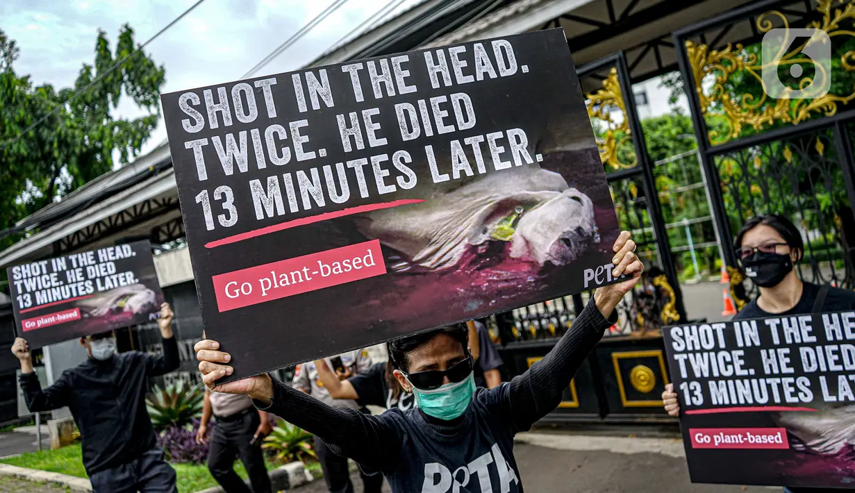 Aktivis dari PETA melakukan aksi mengecam pemotongan sapi di depan Kementerian Pertanian, Jakarta, Kamis (11/11/2021). Mereka meminta publik menjadi vegan dengan menolak mengkonsumsi daging sapi karena menemukan kejanggalan beberapa rumah potong hewan (RPH) di Indonesia. (Liputan6.com/Faizal Fanani)