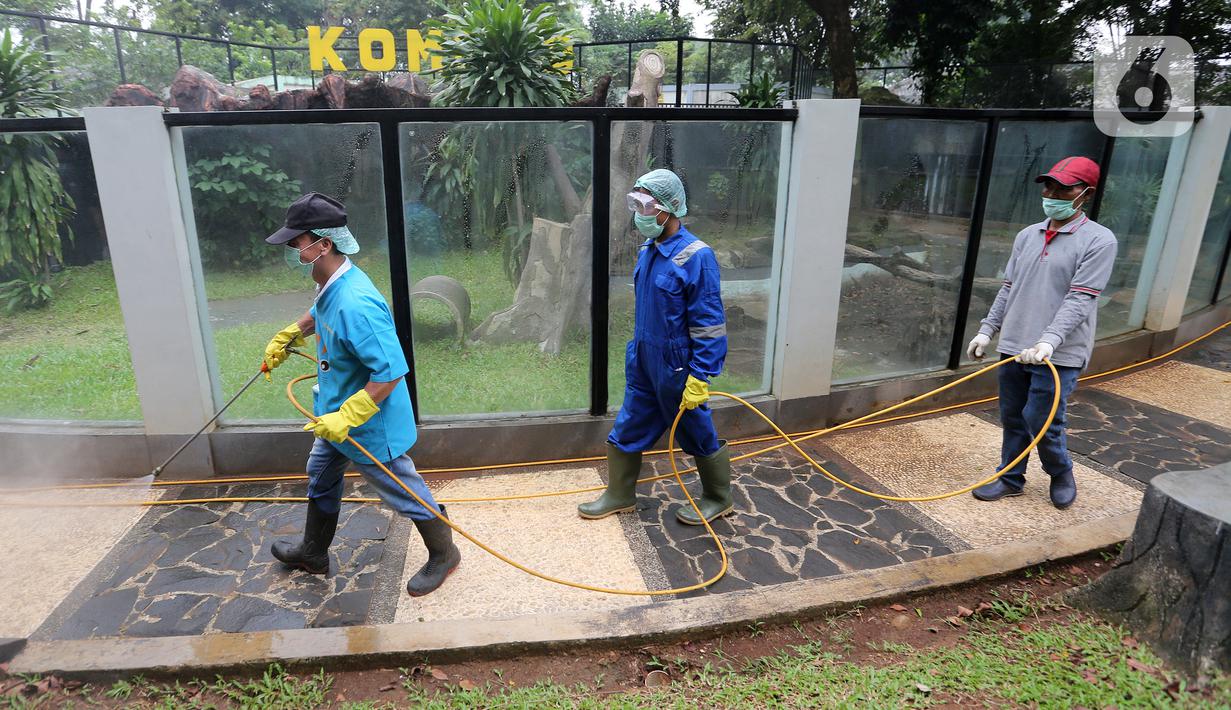 Petugas menyemprotkan cairan disinfektan di area Museum Fauna Indonesia Komodo dan Taman Reptilia, TMII Jakarta, Rabu (18/3/2020). Pengelola TMII secara bertahap melakukan tindakan disinfeksi di setiap lokasi wisata dan anjungan. (Liputan6.com/Fery Pradolo)