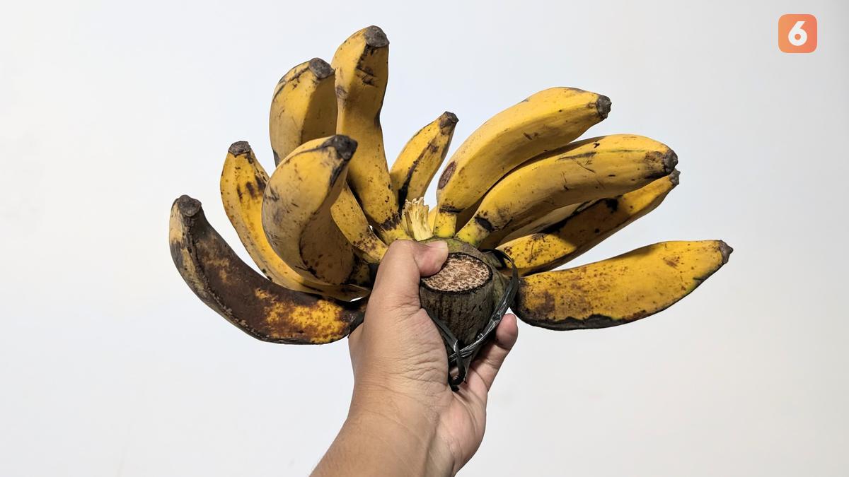 Diet bagi Pasien Anemia Defisiensi Besi, Ini Daftar Makanan yang Disarankan