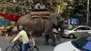 Warga tampak memandangi gajah yang melintasi  jalan raya kawasan Nizamuddin, New Delhi , India , 26 Februari 2016.(REUTERS / Cathal McNaughton)