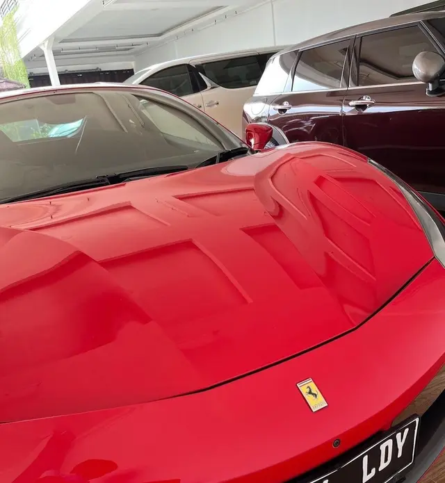 Dijuluki raja minyak, 6 koleksi mobil mewah Haldy Sabri suami Irish Bella ini ditaksir miliaran