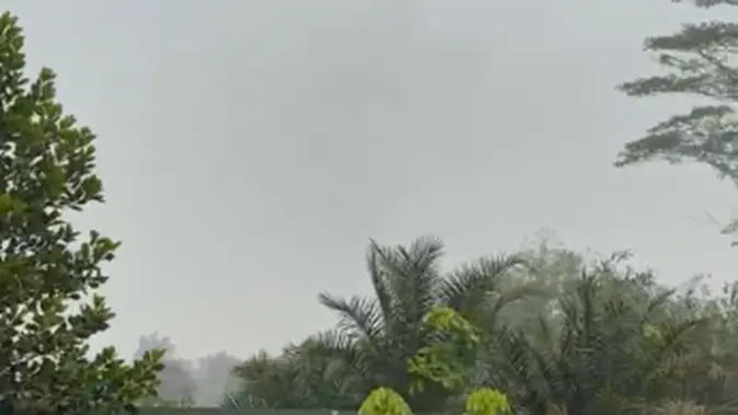 Kabut Asap Kebakaran Hutan Masih Hantui Desa Limbung Kalbar