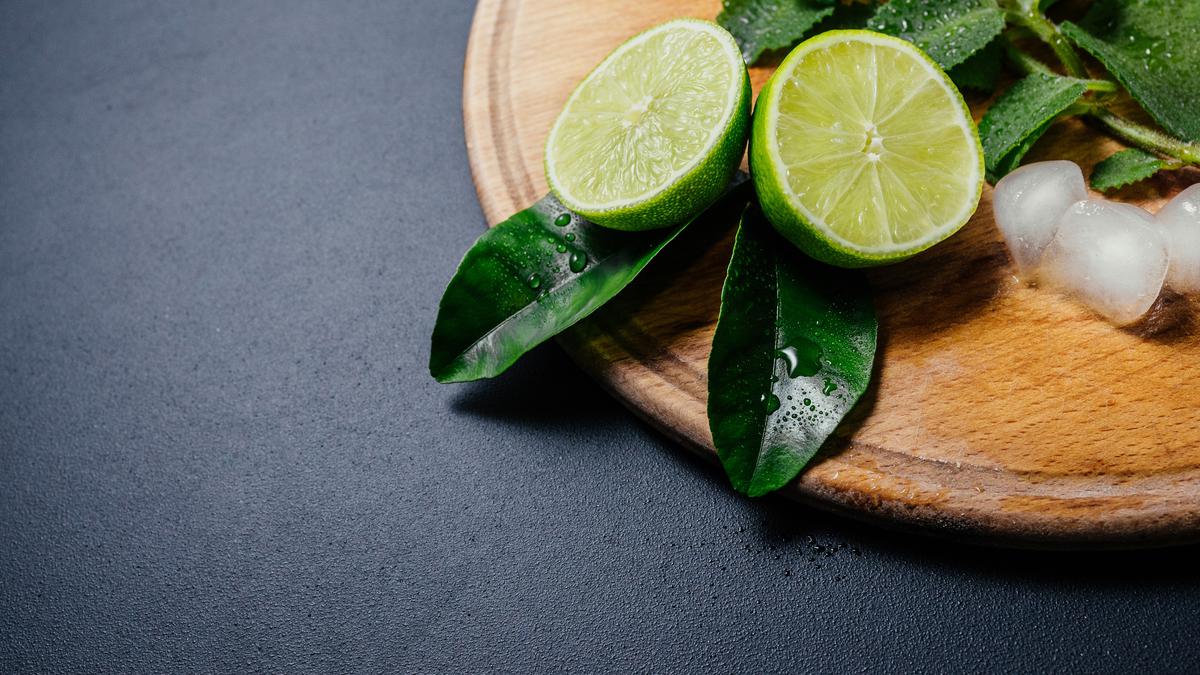 Cara Menyimpan Daun Jeruk Agar Tetap Segar dan Tahan Lama Hingga 3 Bulan