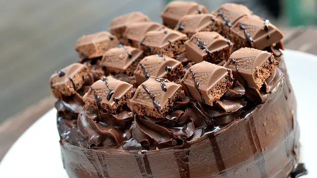 Ilustrasi brownies