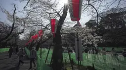 Orang-orang yang memakai masker melihat bunga sakura musiman di Taman Ueno, Tokyo, Jepang pada 24 Maret 2022. Taman Ueno merupakan salah satu tempat menikmati mekar Bunga Sakura paling populer di Tokyo. (AP Photo/Eugene Hoshiko)